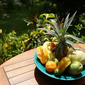 https://le-talisman.comcaribbean.com